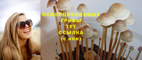 тгк Белокуриха