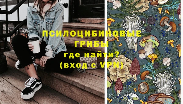 тгк Белокуриха