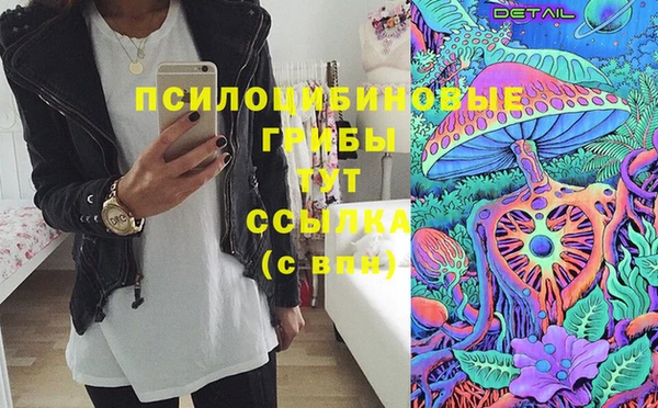 тгк Белокуриха