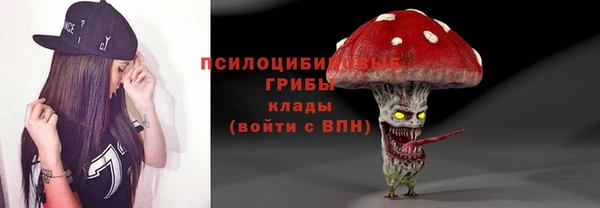 тгк Белокуриха