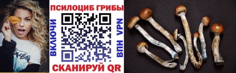 МЕГА онион  Энем  даркнет телеграм  Псилоцибиновые грибы мухоморы 